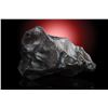 Image 3 : Sikhote-Alin Meteorite [Personal Collection of Geoffrey Notkin]