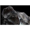 Image 4 : Sikhote-Alin Meteorite [Personal Collection of Geoffrey Notkin]