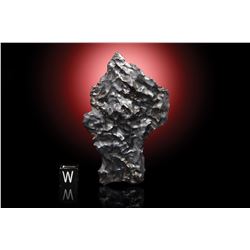 Sikhote-Alin Meteorite [Personal Collection of Geoffrey Notkin]