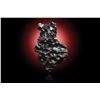 Image 2 : Sikhote-Alin Meteorite [Personal Collection of Geoffrey Notkin]