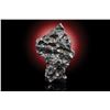 Image 3 : Sikhote-Alin Meteorite [Personal Collection of Geoffrey Notkin]