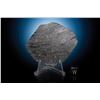 Image 1 : Aba Panu Meteorite