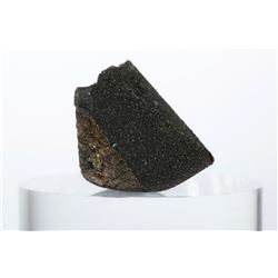 Aguas Zarcas Meteorite