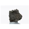 Aguas Zarcas Hammer Meteorite