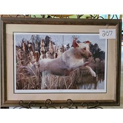 Ducks Unimited 1887/3000 "Working Lab" Framed 37"w x 27"h