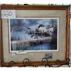 North American Game Bird Series Commemorative Print "Ligting to the North" by Ken Zylla Framed 24 1/