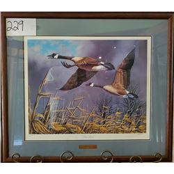 Ducks Unlimited 318/1500 "True Pair" by Harold Roe Framed 29"w x 25"h