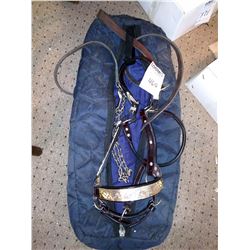 Full Size Horse Show  Halter / Sterling Silver & Gold Trim AKA LOT 464