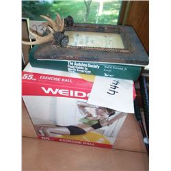 Audubon Society North American Field Guide, Weider Exercise Ball, Photo Frame