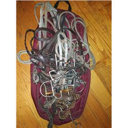 BITS& HEAD STALLS w Carry Bag Lot Bundle