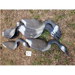 13 PC Canadian Geese Decoys