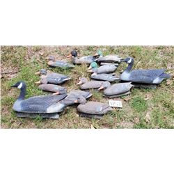 13 PC Decoys, 11 Mallard Ducks and 2 Canadian Geese