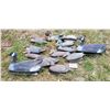 Image 1 : 13 PC Decoys, 11 Mallard Ducks and 2 Canadian Geese