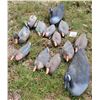Image 3 : 13 PC Decoys, 11 Mallard Ducks and 2 Canadian Geese