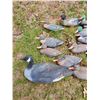 Image 4 : 13 PC Decoys, 11 Mallard Ducks and 2 Canadian Geese