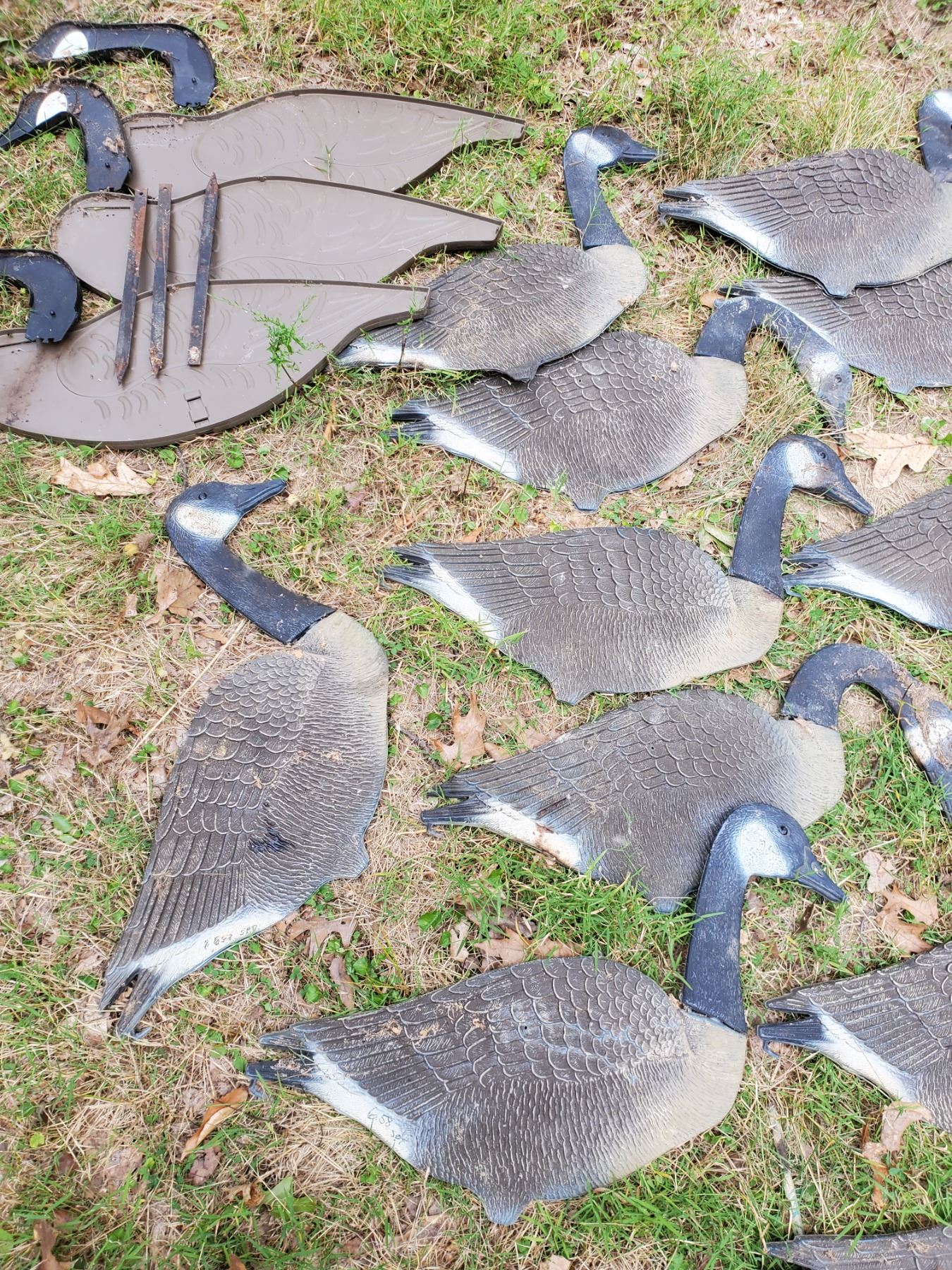 19 PC Canadian Geese Silhouette Decoys