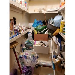 Closet Lot of Cleaning and Home Items
