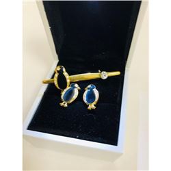 Set Of Penguin Earrings And Penguin Pin