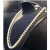 Image 1 : Real Pearl Necklace With 14K PJS Clasp