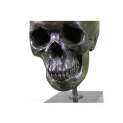Signed American Artist Skeleton Head Bust Bone Halloween Decoration Gift Decor