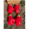 Image 1 : 2 PAIRS EVERLAST BOXING GLOVES 16OZ AND 14 OZ