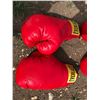 Image 2 : 2 PAIRS EVERLAST BOXING GLOVES 16OZ AND 14 OZ