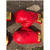 Image 3 : 2 PAIRS EVERLAST BOXING GLOVES 16OZ AND 14 OZ