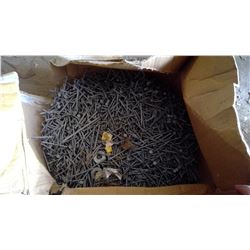 2" NAILS TREE ISLAND GOLD