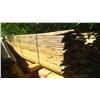 Image 1 : 100 ASSORTED PLANKS ROUGH 9'FT