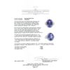 Image 5 : 12.53 ctw Tanzanite and Diamond Ring - 14KT White Gold