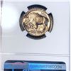 Image 2 : 1938-D Buffalo Head Nickel NGC - MS66