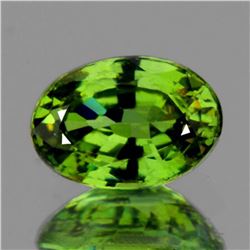 Natural AAA Fire Premium Green Demantoid - FL