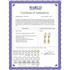 Image 2 : Genuine 2.5 ctw Citrine Earrings 14KT Yellow Gold - REF-20T8A