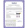 Image 2 : Genuine 6.6 ctw Black Pearl, Amethyst & Diamond Earrings 14KT Yellow Gold - REF-27F6Z