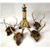 Image 1 : FOUR SETS OF DEER ANTLERS