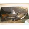 Image 2 : A PASTEL
