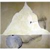 Image 1 : AN OIL ON CANVAS