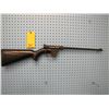 Image 1 : AR - 7 Explorer semi-auto 22 long rifle only take down