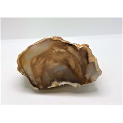 8) NATURAL CREAM COLORED AGATED GEODE