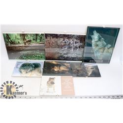 7 GLASS FRAMES - WOLF PICTURES (THREE 8X10 )