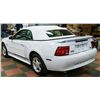 Image 5 : 2001 FORD MUSTANG CONVERTIBLE