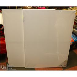 LOT OF 2 ARTISTIC PAINTING CANVASES 30" X 40"