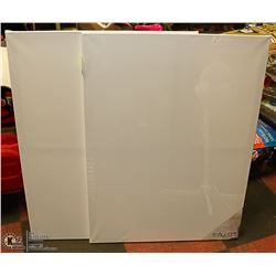 LOT OF 2 ARTISTIC PAINTING CANVASES 30" X 40"
