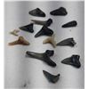 Image 2 : Genuine Fossil Shark's Teeth