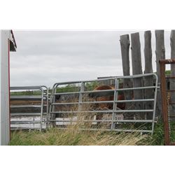 12' GALVANIZED PANEL