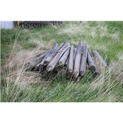 APPROX. 12 - 4-5" X 7' TREATED FENCE POSTS
