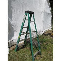 WERNER 6' FIBERGLASS LADDER