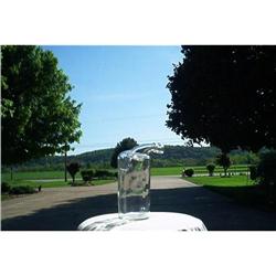 Whiskey Bottle #964122