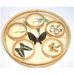 Vintage Butterfly Serving Tray & Coasters #964417