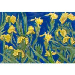 IRISES BY RIVER #964508